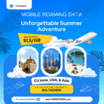 affordable roaming data